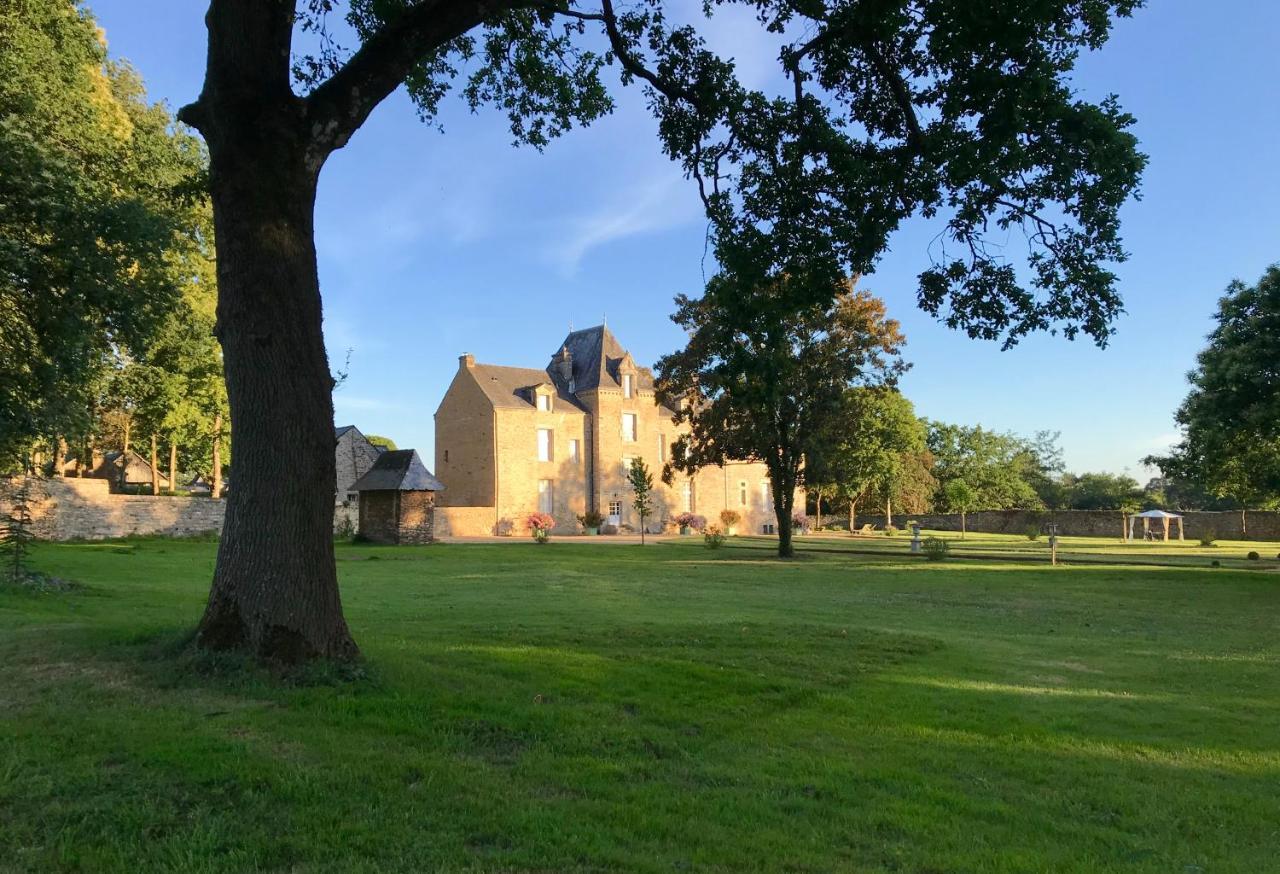 Chateau De Cadouzan Saint-Dolay Екстер'єр фото
