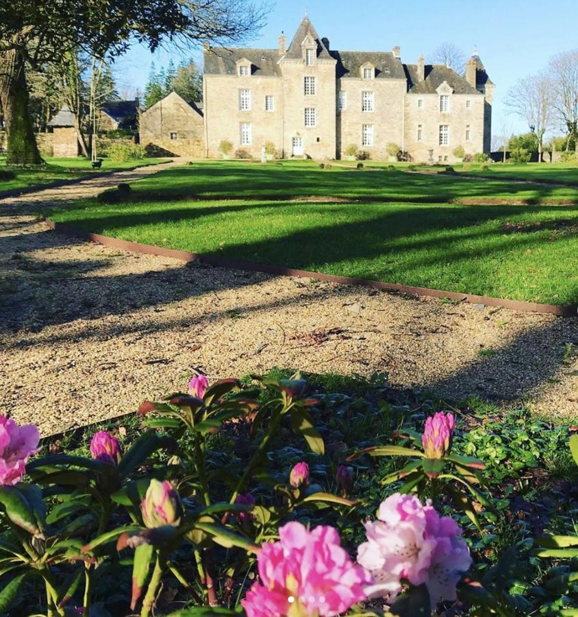 Chateau De Cadouzan Saint-Dolay Екстер'єр фото